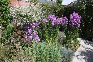 Photo 33- click for photo gallery